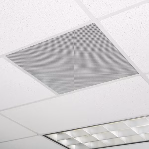 FF 220T - Full-Range Flat Field Speakers