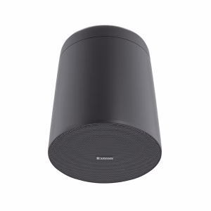 SF 28PT - SoundField 8" Two-Way Pendant Speaker
