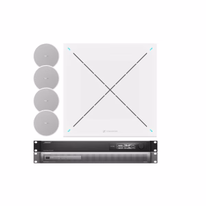 DS4 Ceiling Audio Solution